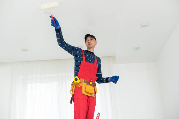 Best Mold Prevention Services  in Pittsburg, TX